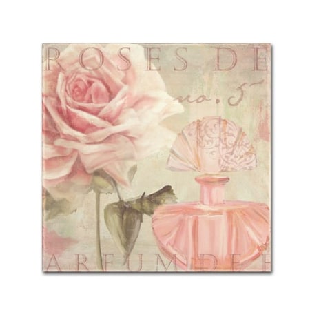 Color Bakery 'Parfum De Roses I' Canvas Art,18x18